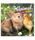 Wandkalender Animal Cuties 2020