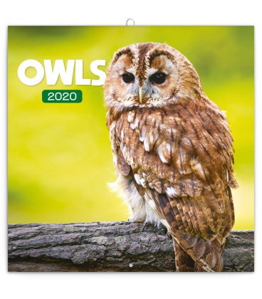 Wandkalender Owls 2020