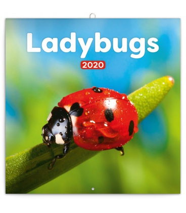 Wall calendar Ladybugs 2020