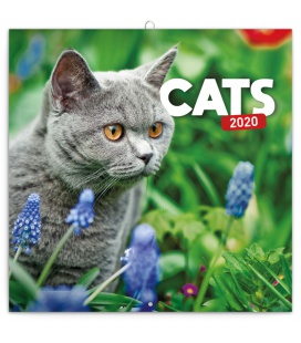 Wall calendar Cats 2020