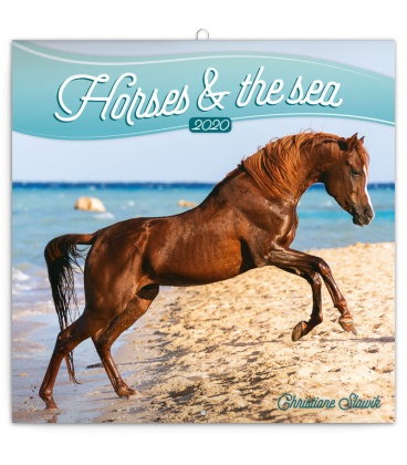 Wandkalender Horses and the Sea 2020