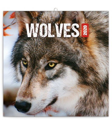 Wall calendar Wolves 2020