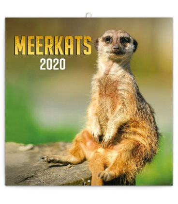 Wall calendar Meerkats 2020