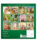 Wall calendar Meerkats 2020