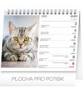 Stolní kalendář Kočky – se jmény koček 2020