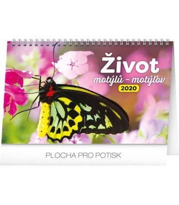 Stolní kalendář Život motýlů – motýlov CZ/SK 2020