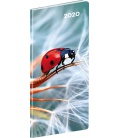 Monthly Pocket Diary planning Ladybug 2020