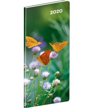 Diář kapesní měsíční plánovací Motýle SK 2020