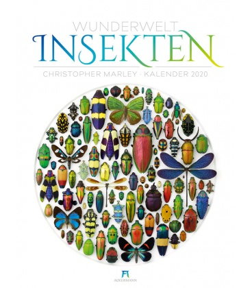 Wall calendar Wunderwelt Insekten 2020