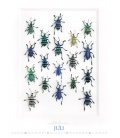 Wandkalender Wunderwelt Insekten 2020