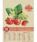 Wandkalender Saisonkalender - Obst & Gemüse - Graspapier-Kalender 2020