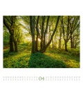 Wall calendar Wald 2020