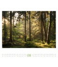 Wall calendar Wald 2020