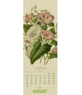 Wall calendar Wildwuchs - Botanische Illustrationen - Graspapier-Kalender 2020