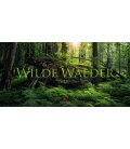 Wall calendar Wilde Wälder 2020