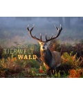 Wall calendar Tierwelt Wald 2020