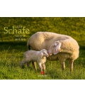 Wandkalender Schafe 2020