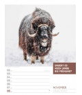 Wall calendar Tierisch Sprüchekalender - Wochenplaner 2020