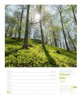 Wall calendar Unser Wald - Wochenplaner 2020