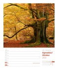 Wall calendar Unser Wald - Wochenplaner 2020