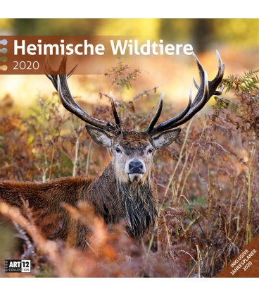Wall calendar Heimische Wildtiere 2020