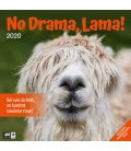 Wall calendar No Drama, Lama! 2020