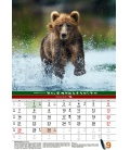 Wall calendar Myslivecký kalendář 2020