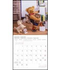 Wall calendar Teddy T&C 2020