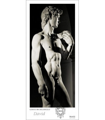 Wandkalender Genius Michelangelo: DAVID  Panorama Zeitlos 2020