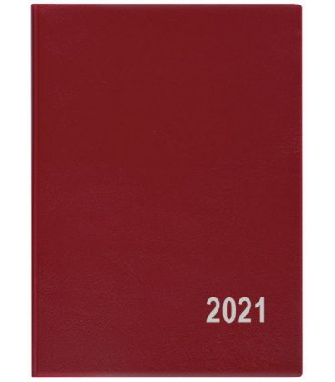 Pocket-Terminplaner vierzehntägig - Hynek - PVC 2021