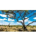 Wandkalender Světové národní parky 2021