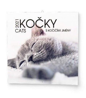 Wandkalender für Notizen Kočky  2021