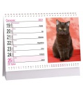 Stolní kalendář Kočky /s kočičími jmény/ 2021