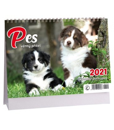 Stolní kalendář Pes /s psími jmény/ 2021