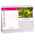 Stolní kalendář Léčivé rostliny 2021