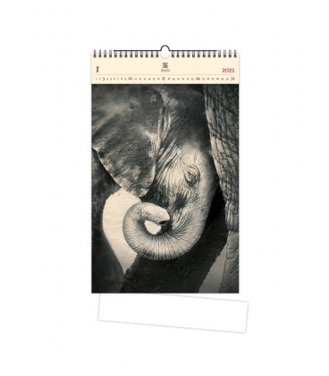 Wall calendar Little Elephant (motive on the wooden material) 2021
