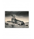 Wandkalender - Holzbild - Lioness 2021