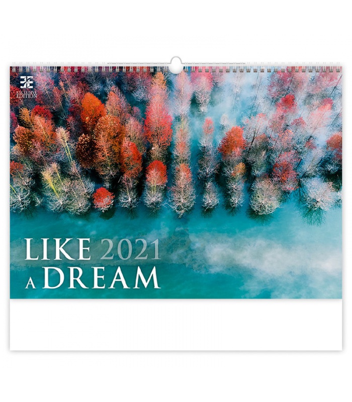 Wall calendar Like a Dream 2021