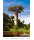 Wandkalender Trees/Baume/Stromy 2021