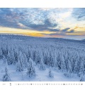 Wall calendar Forest/Wald/Les 2021