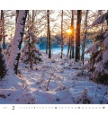 Nástěnný kalendář Forest/Wald/Les 2021