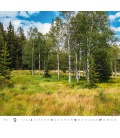 Wall calendar Forest/Wald/Les 2021