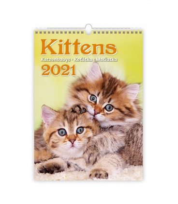 Wandkalender Kittens/Katzenbabys/Koťátka/Mačičky 2021