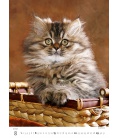 Nástěnný kalendář Kittens/Katzenbabys/Koťátka/Mačičky 2021