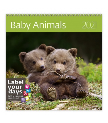 Wandkalender Baby Animals 2021