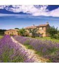Wall calendar Provence 2021