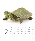 Table calendar Mini Pets 2021