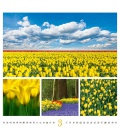 Wall calendar Colours od Nature 2021