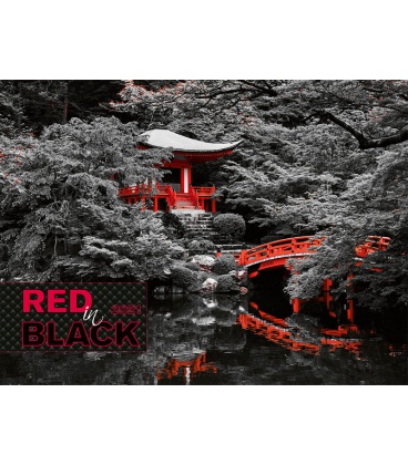 Nástěnný kalendář Red in Black 2021