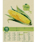Wall calendar Saisonkalender - Obst & Gemüse - Graspapier-Kalender 2021
